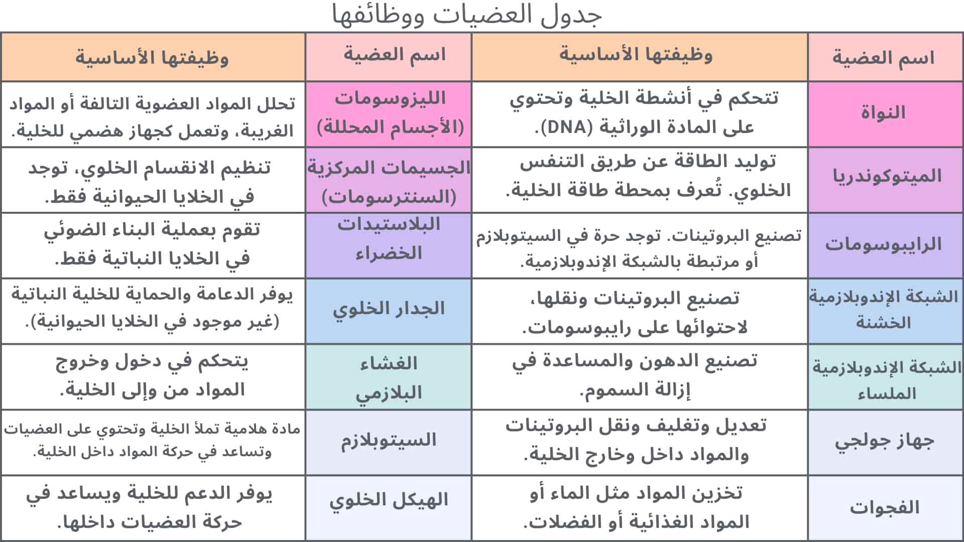 جدول العضيات ووظائفها - القورو.jpg